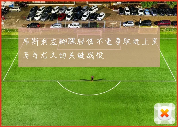 韦斯利左脚踝轻伤不重争取赶上罗马与尤文的关键战役
