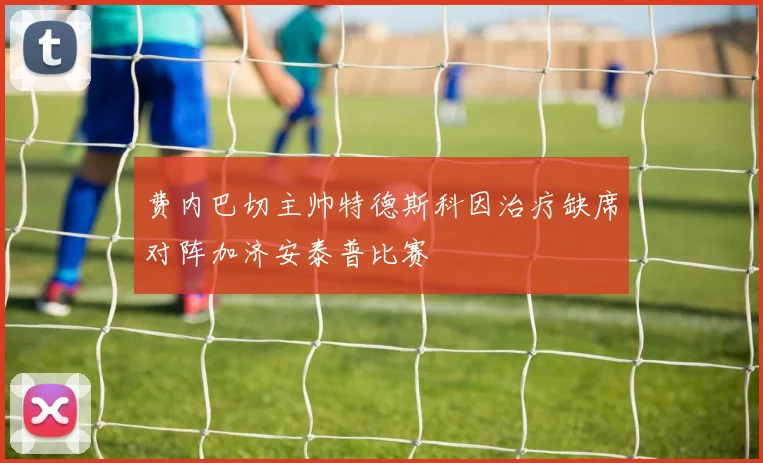 费内巴切主帅特德斯科因治疗缺席对阵加济安泰普比赛