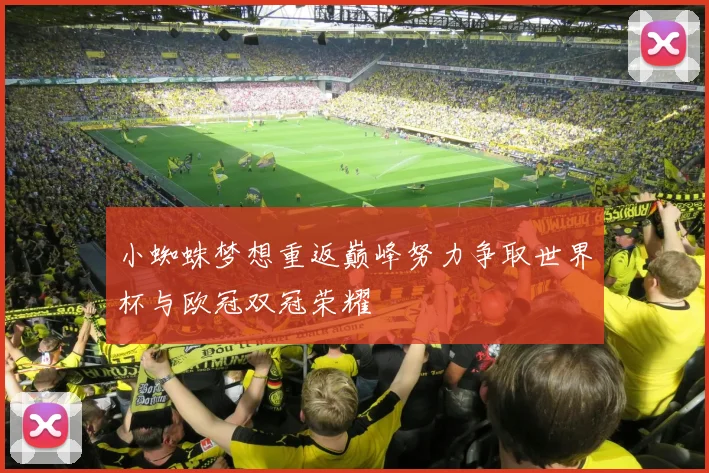 小蜘蛛梦想重返巅峰努力争取世界杯与欧冠双冠荣耀