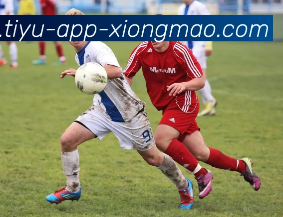 熊猫体育服务体系